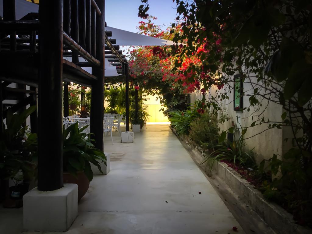 Casa Ines Bed & Breakfast Santa Marta  Exterior photo